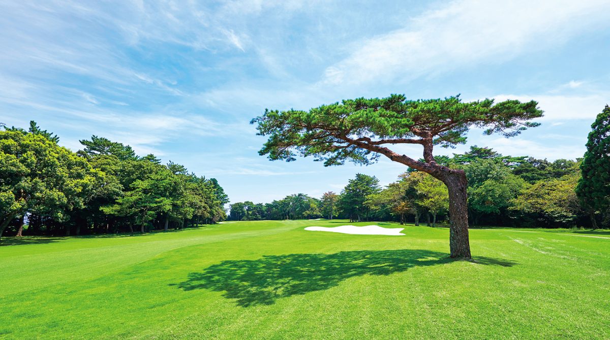 静岡カントリー島田ゴルフコース